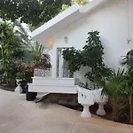 Tropical