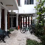 Estudios Selva Y Mar