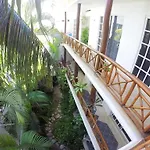 Estudios Selva Y Mar