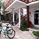 Estudios Selva Y Mar