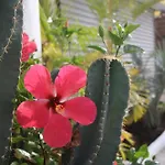 Hotel Sol Playa