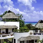 Blue Parrot Suites