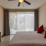 Oasis 101