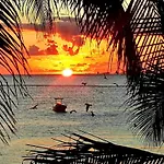 Sunshine Suite