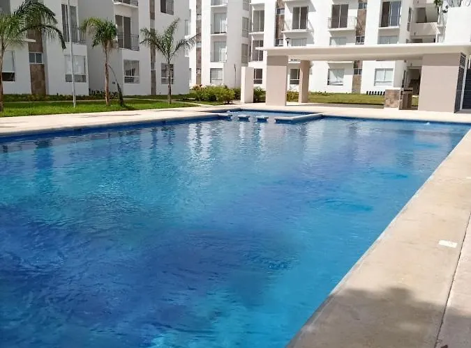 Palma Bambu.