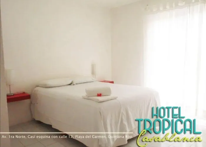 El Tropical Playa Del Carmen