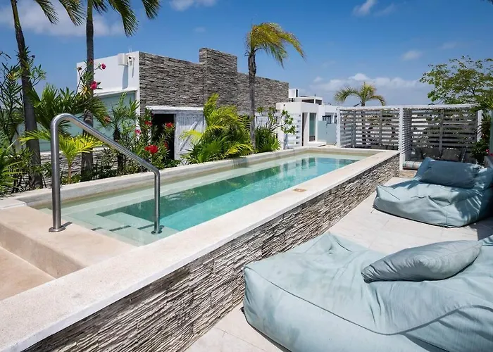 Newport Confort Y Estilo En Armonia