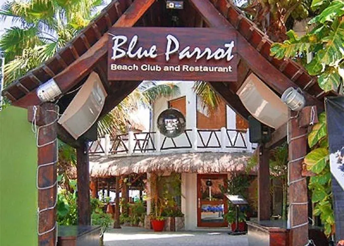 Blue Parrot Suites