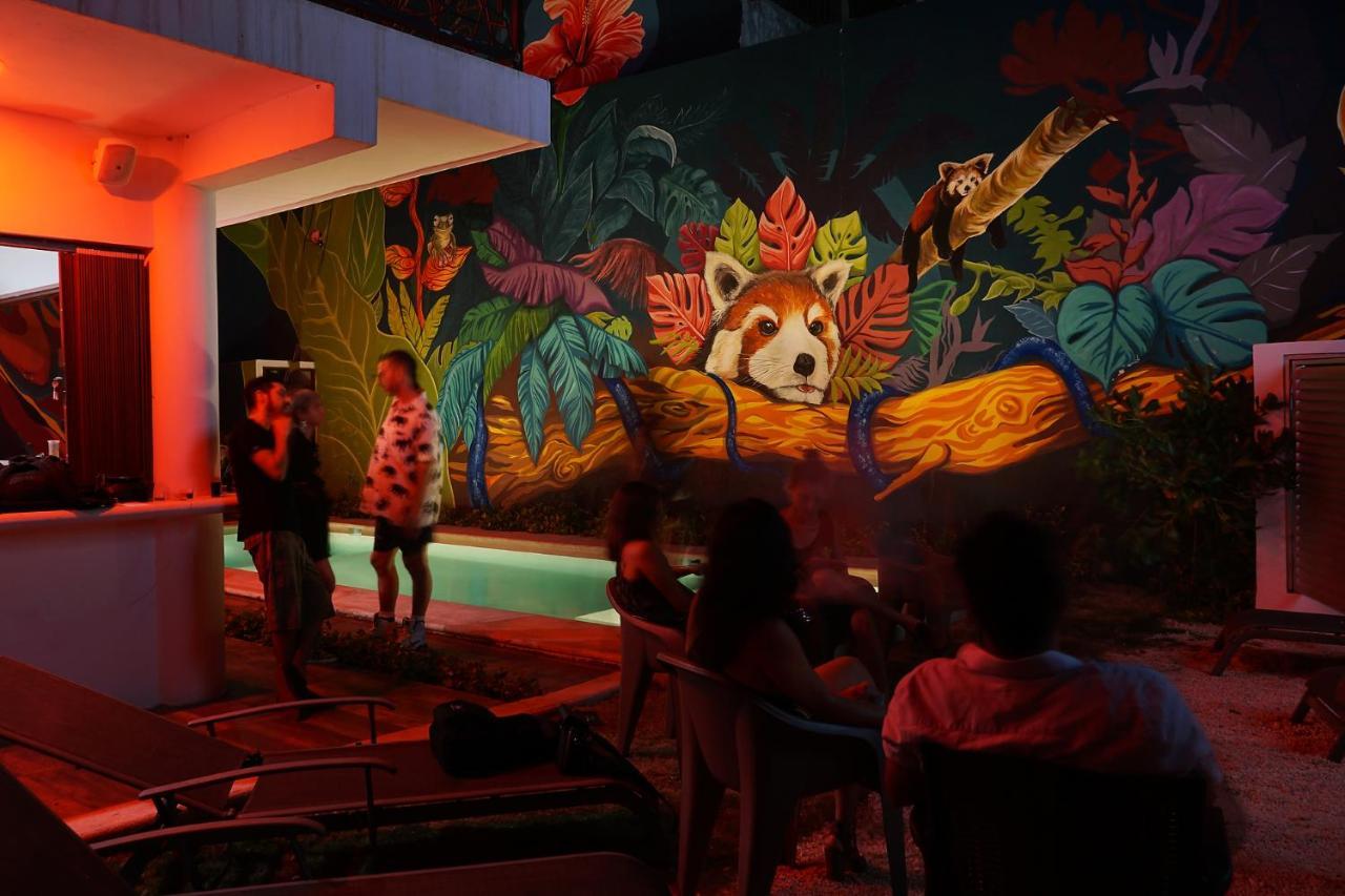 Red Panda