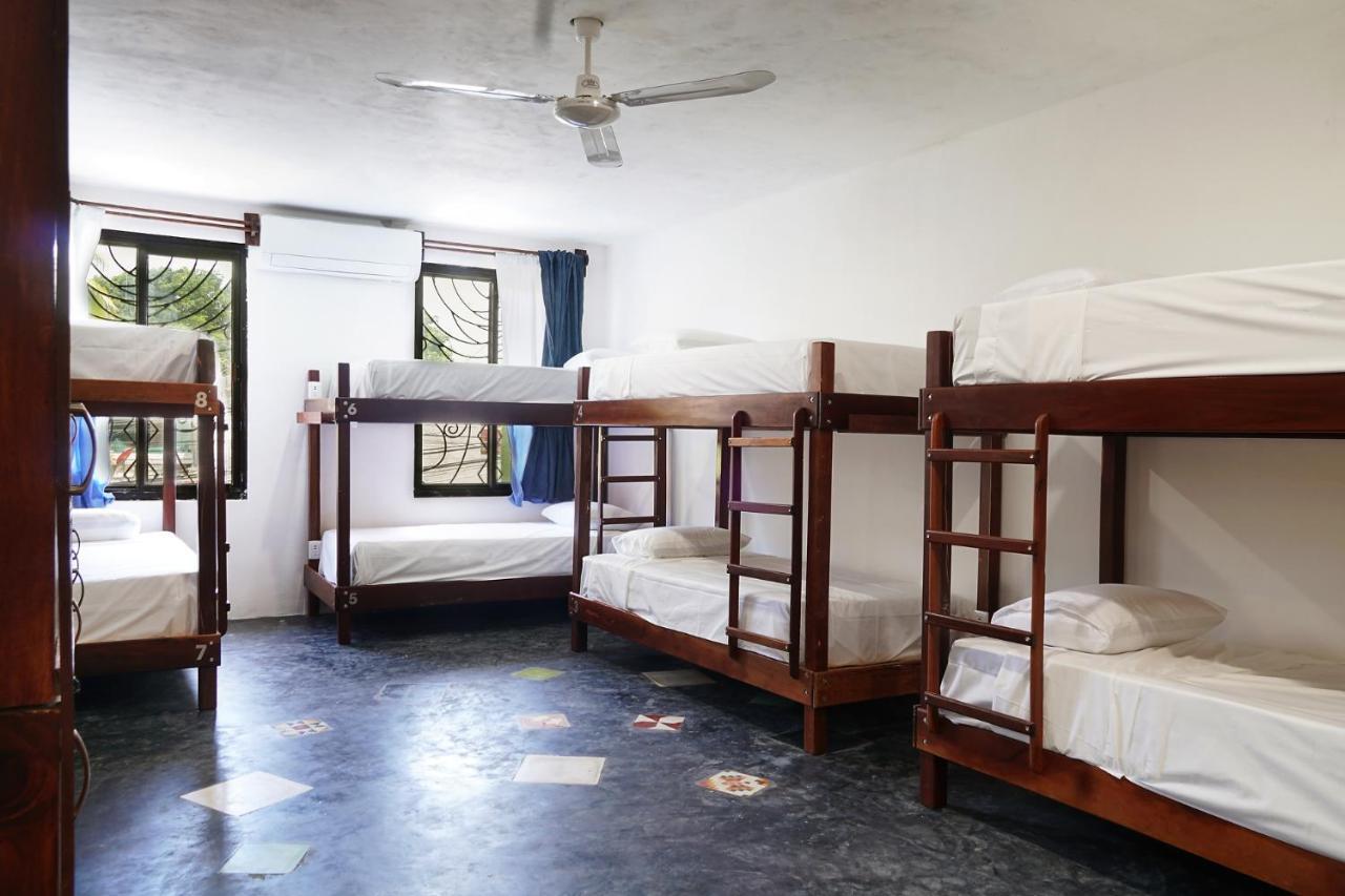 Red Panda Hostel Playa del Carmen