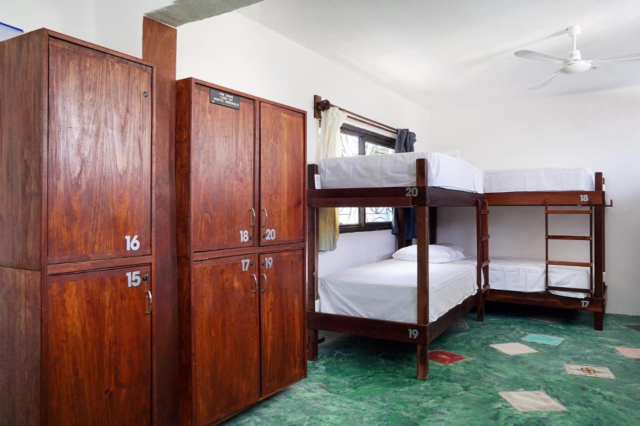 Red Panda Hostel Playa del Carmen
