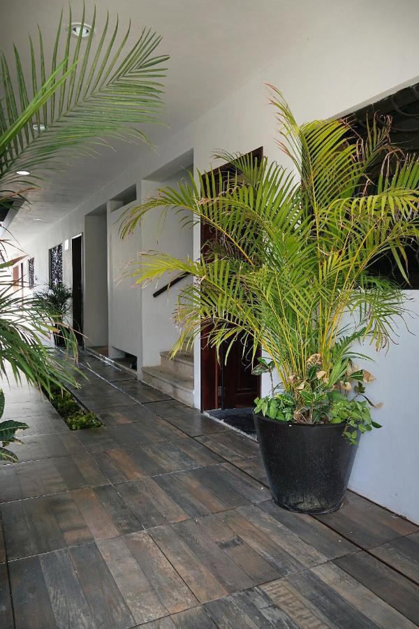 Red Panda Hostel Playa del Carmen