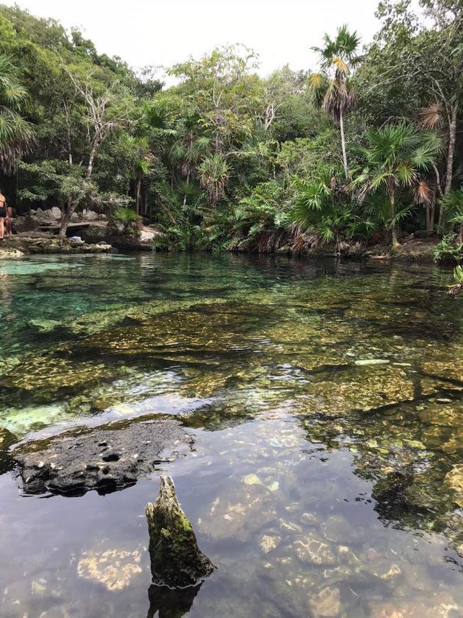 Refugio Selvatico Con Piscina Privada En Playa Del Carmen