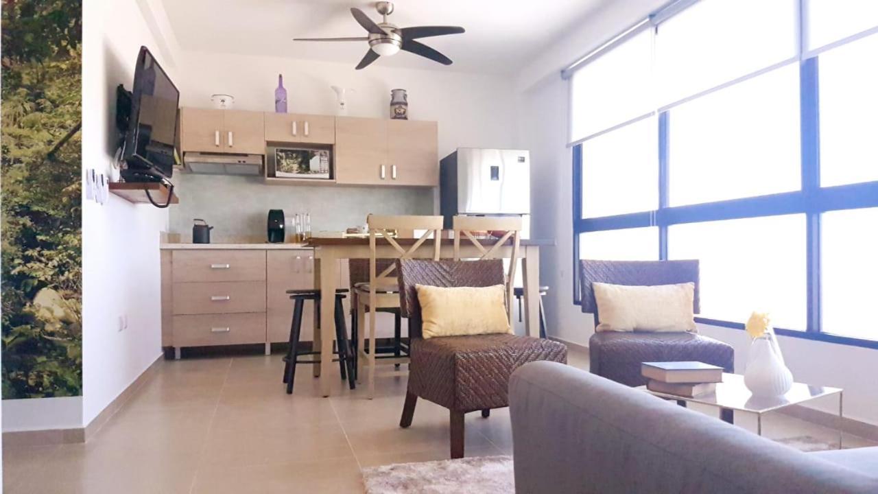 Apartment Nice And Centric *
