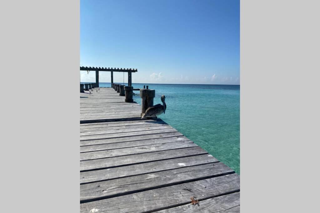 Holiday home Blue Angel 4 Playa del Carmen
