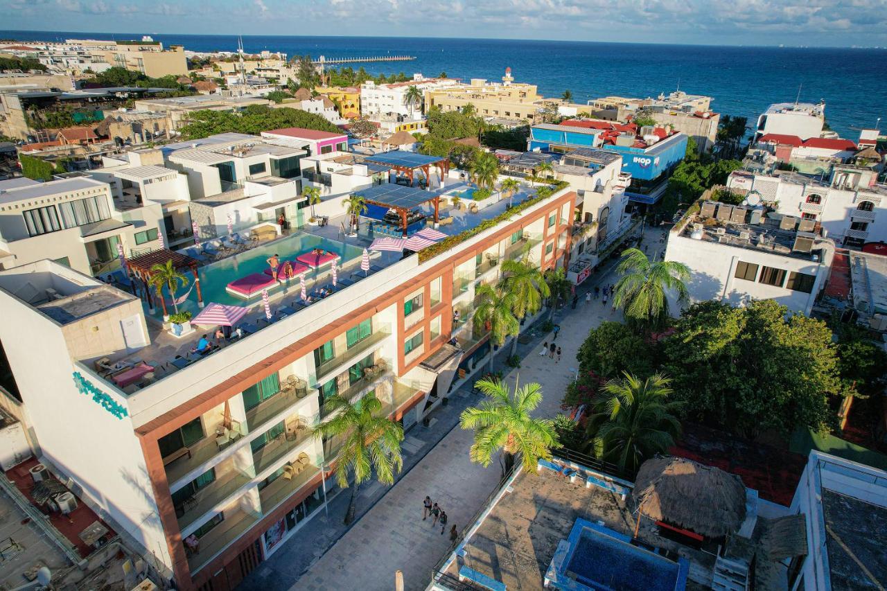 The Palm (adults Only) Hotel Playa del Carmen