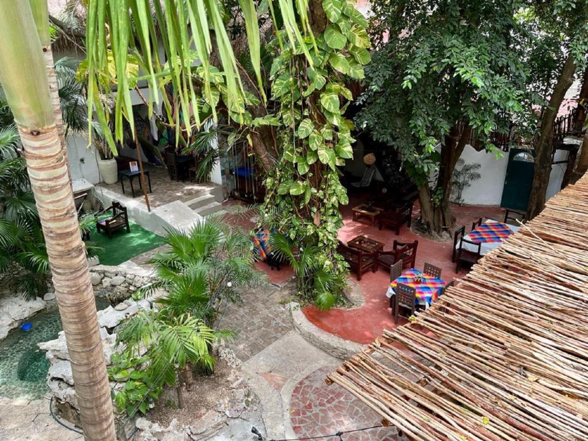 Hostel Hostal Mx 5Th Avenue