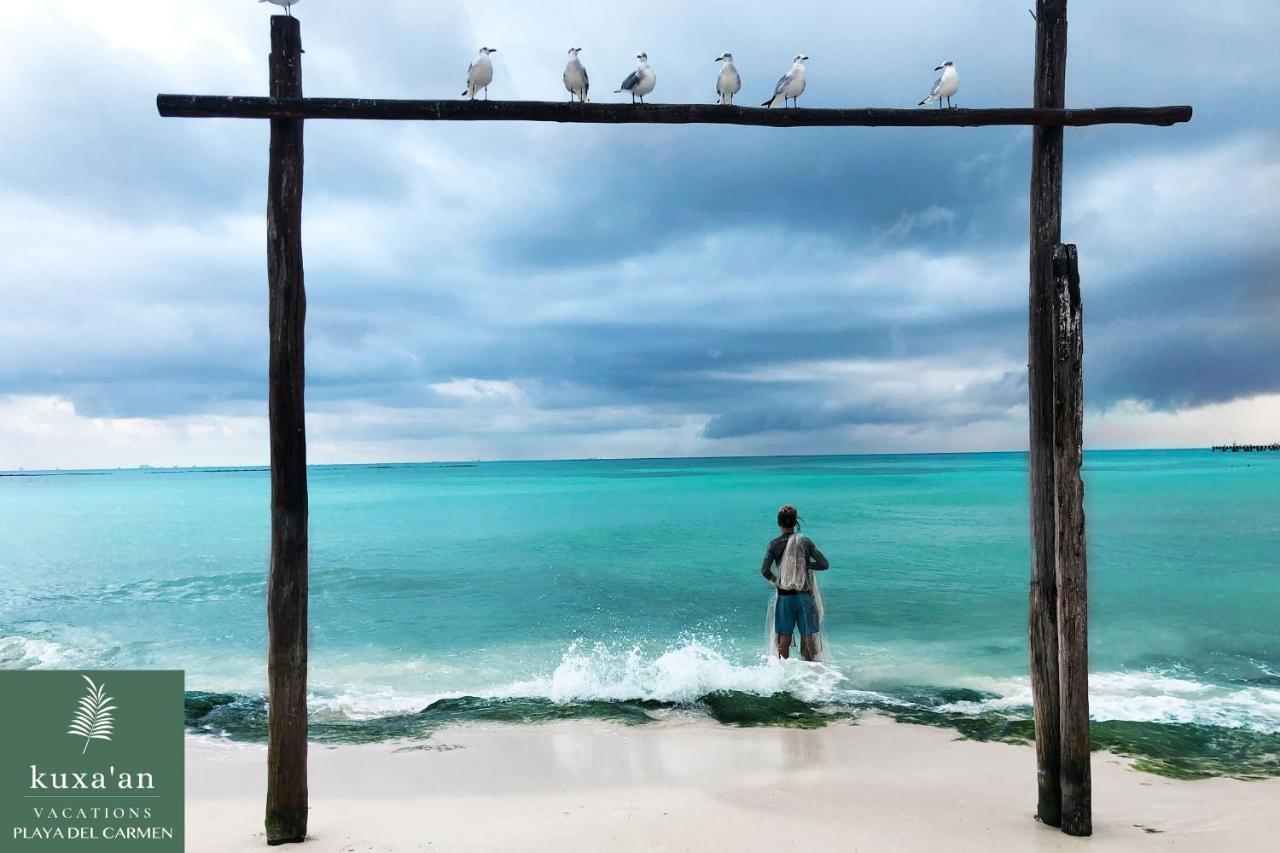 Kuxaan Cielo Terraza Privada Y Comodidad A Pocos Minutos De La Playa Appartement Playa del Carmen