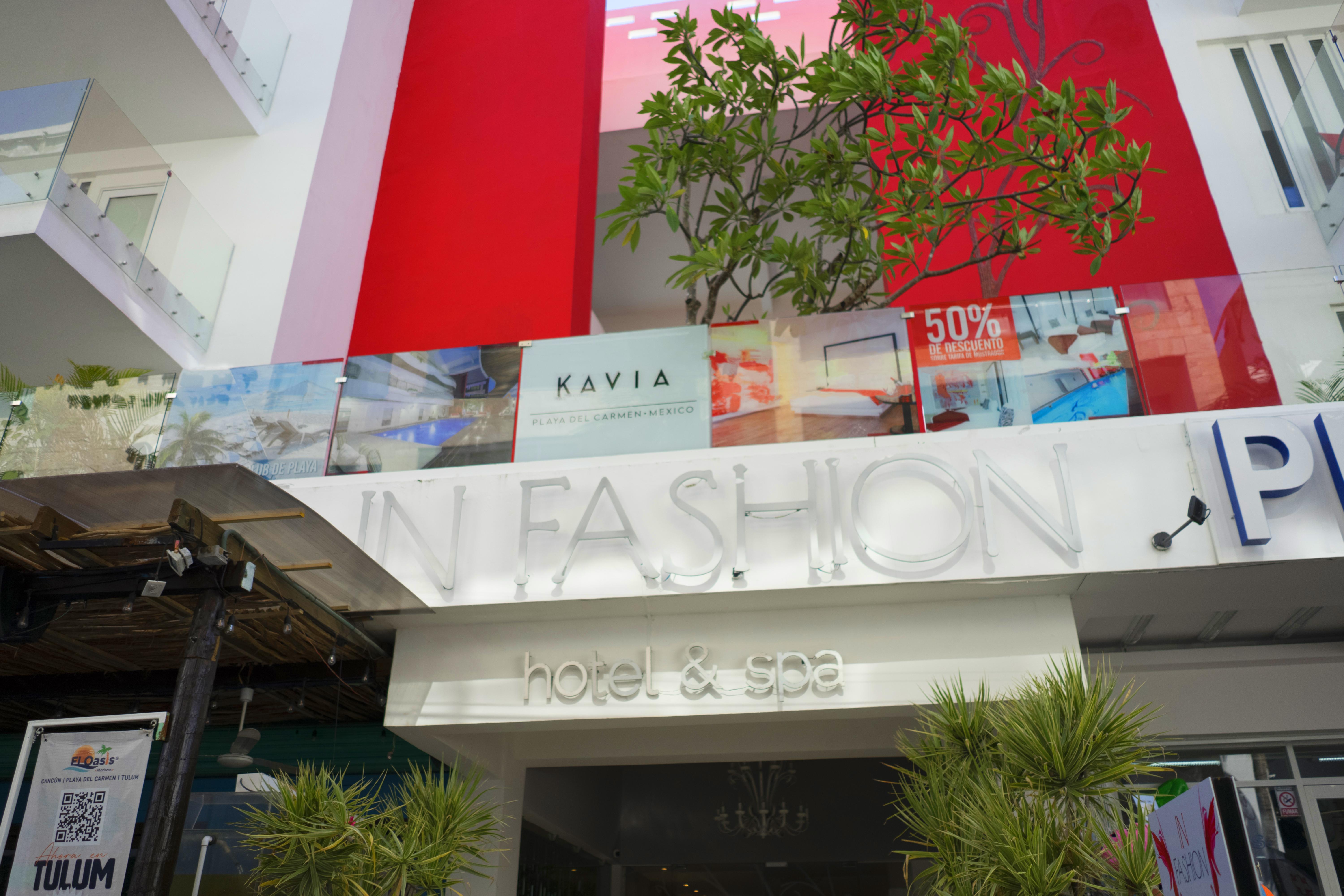In Fashion & (adults Only)