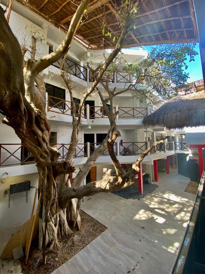 Albergue Why Not Rooftop Party Playa del Carmen