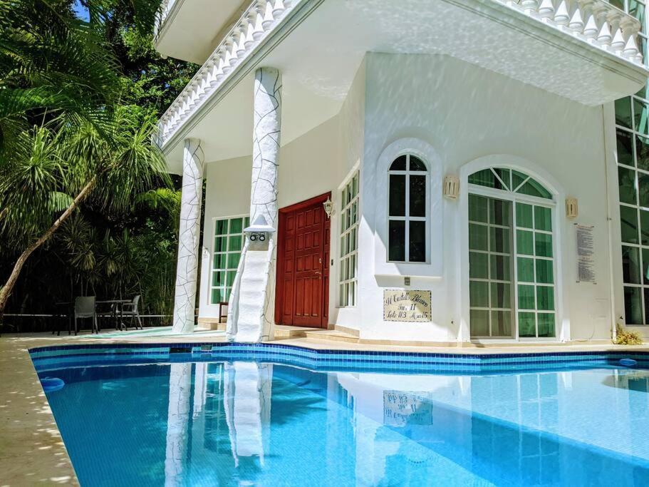 18br Up To 50guest Castillos Playacar Walk To And 5th Ave 1000mbps Ferienhaus