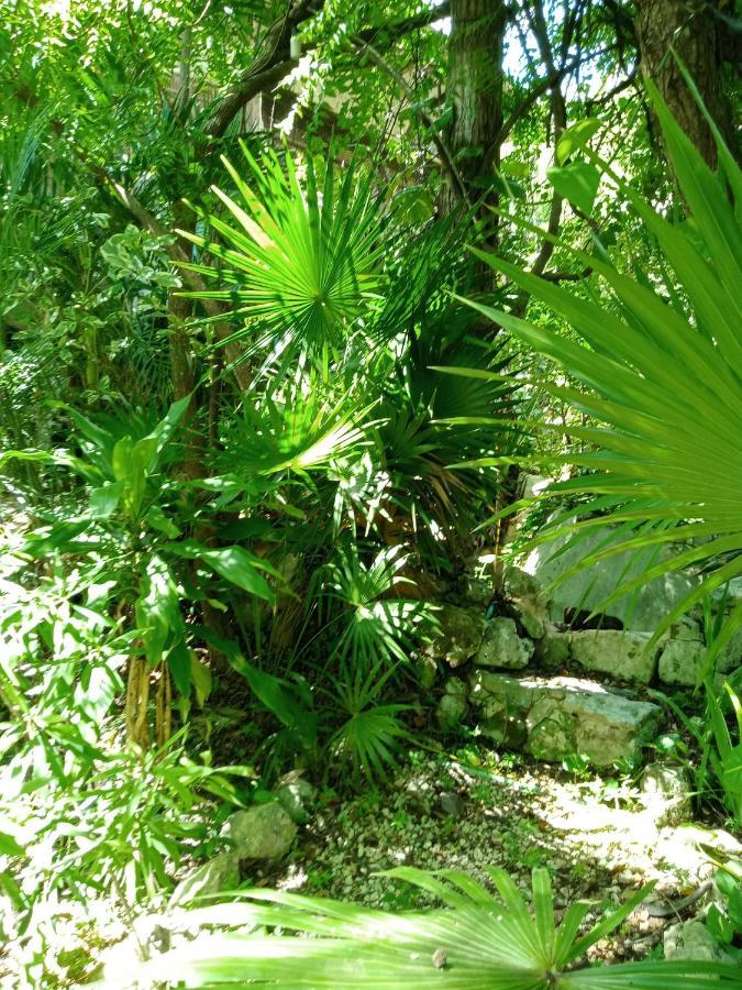 Kuha Glamping * Playa del Carmen