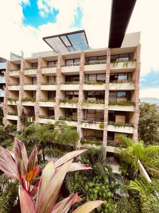 Gran Estudio A Unas Cuadras De La Playa Playa del Carmen