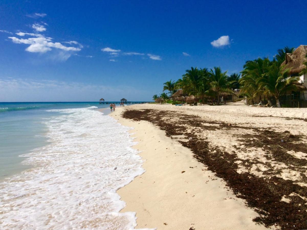 Bonito 2bd Con Piscina Playa Xcalacoco By Yeah Apartamento Playa del Carmen