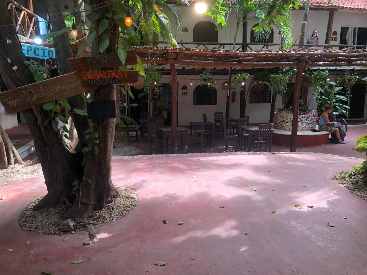 Hostal Mx 5Th Avenue *