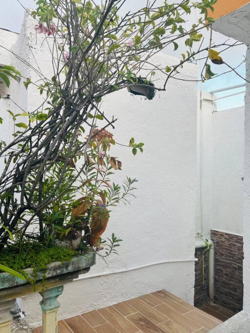 Appartement En La Calle 56 Playa del Carmen