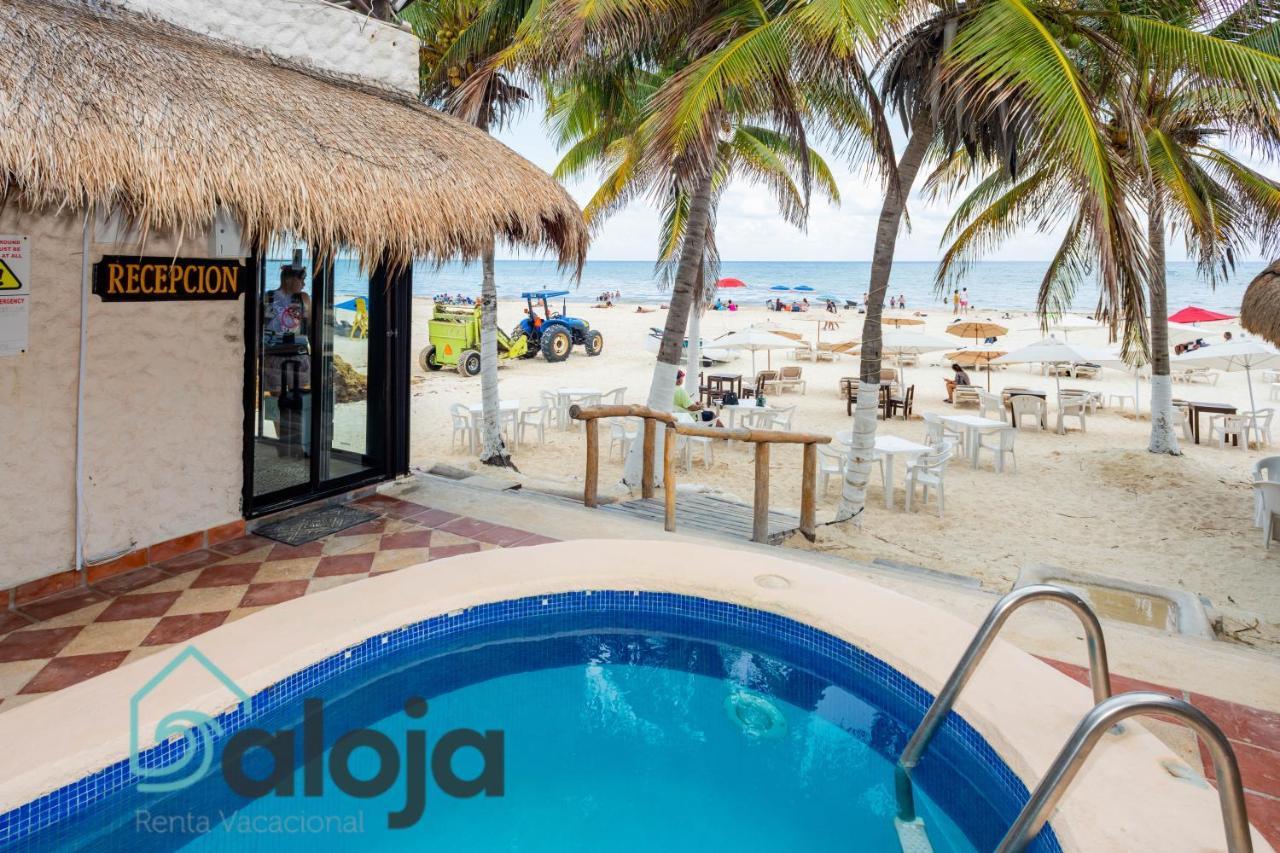 Magnifico Refugio Junto Al Mar Appartement *
