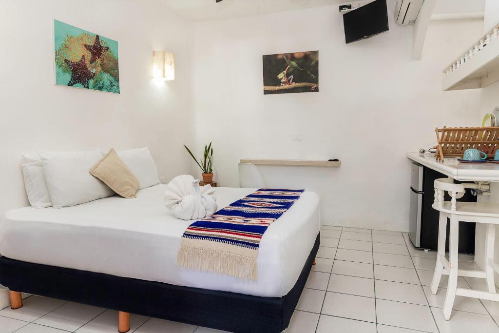 Estudios Selva Y Mar Hotel