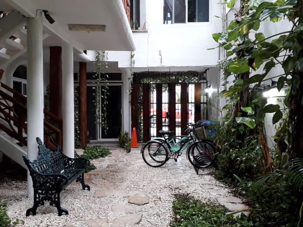Estudios Selva Y Mar 2* Playa del Carmen