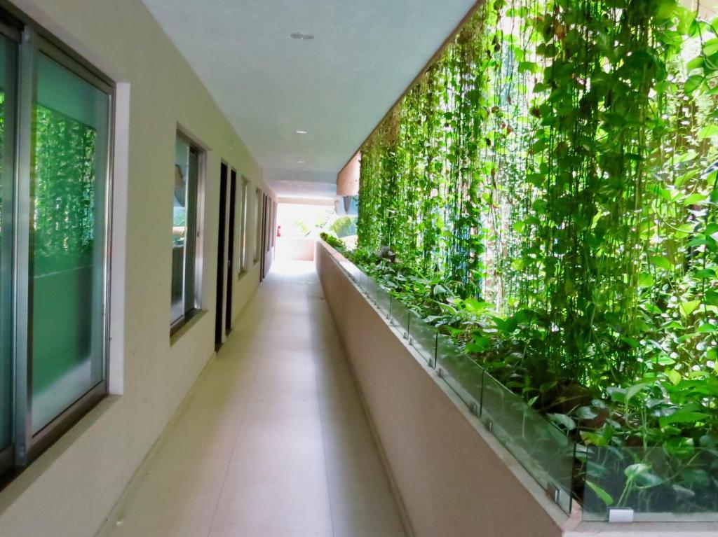 Palmarena & Aparthotel 3*