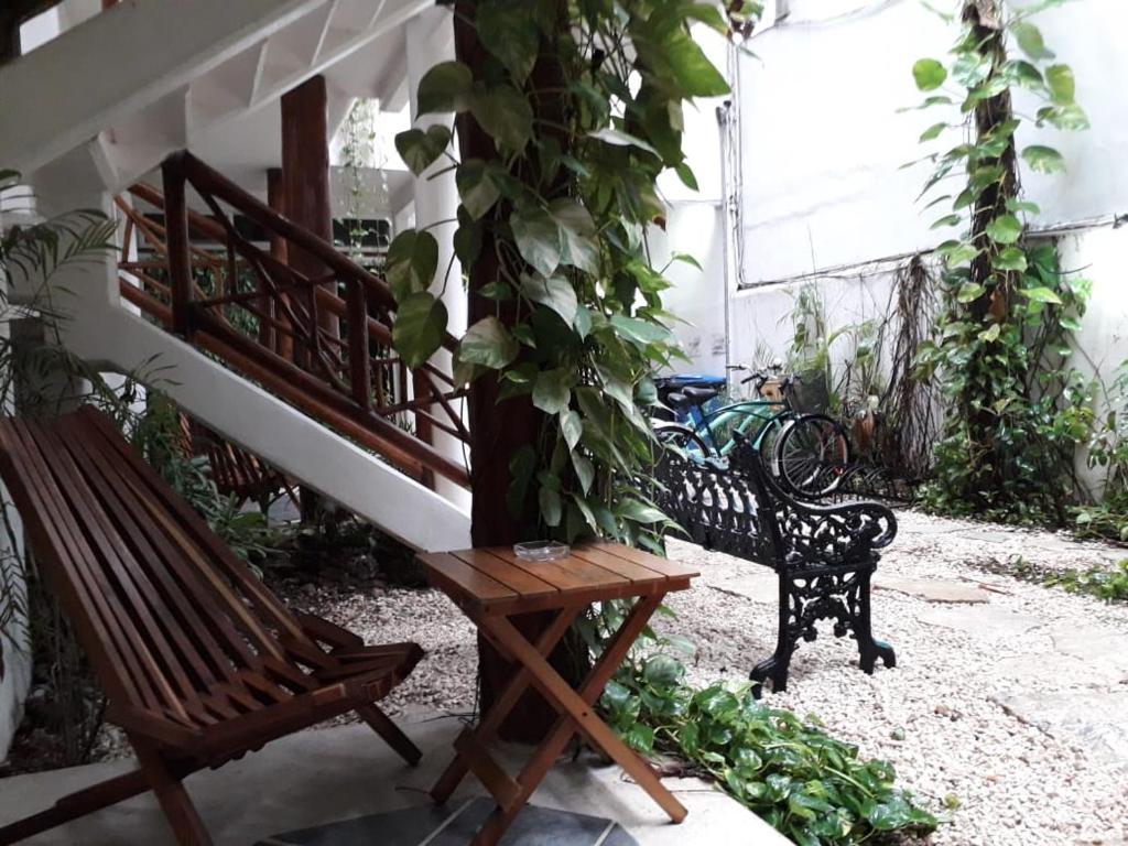 Estudios Selva Y Mar Hotel Playa del Carmen