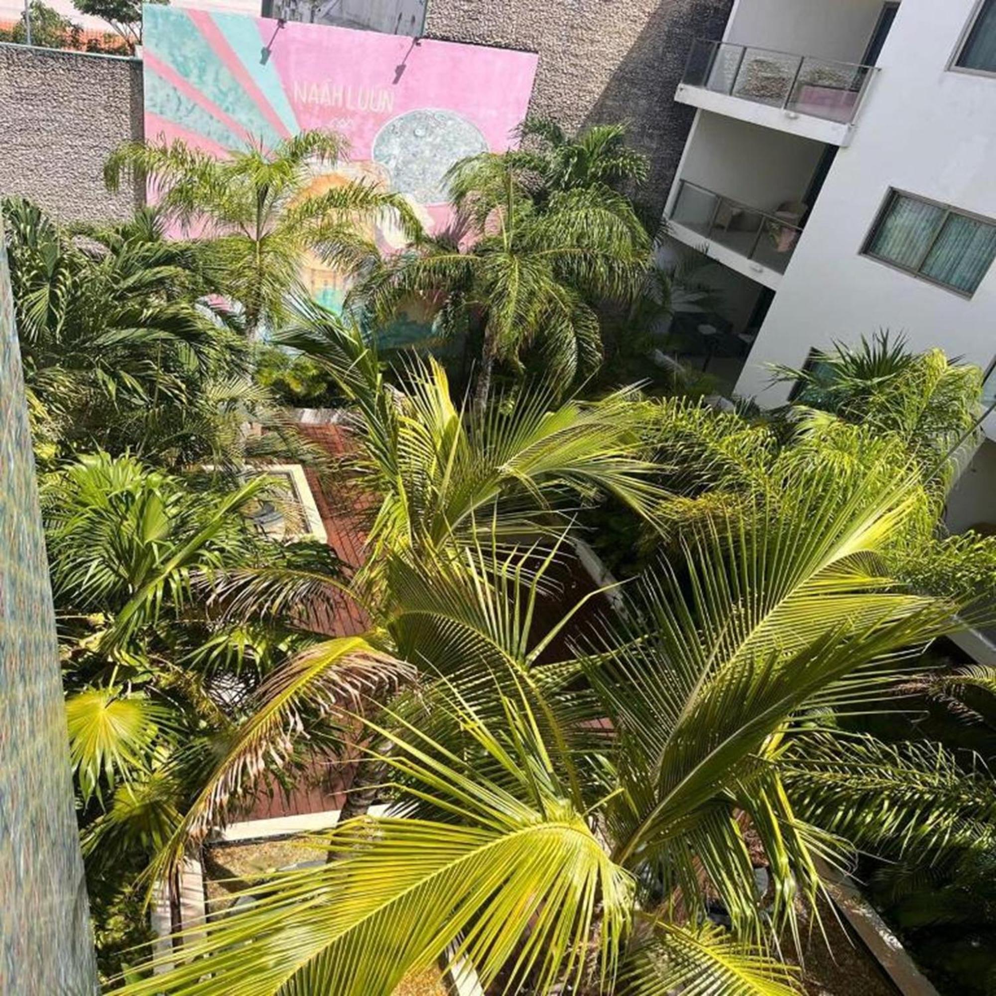 Hotel The Palm (adults Only) Playa del Carmen