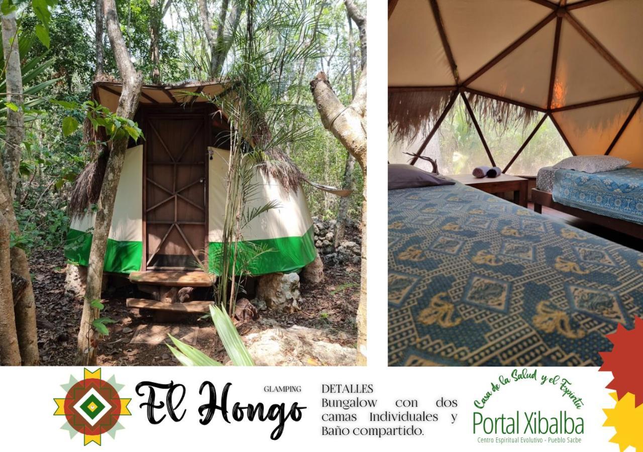 Portal Xibalba Campsite Playa del Carmen