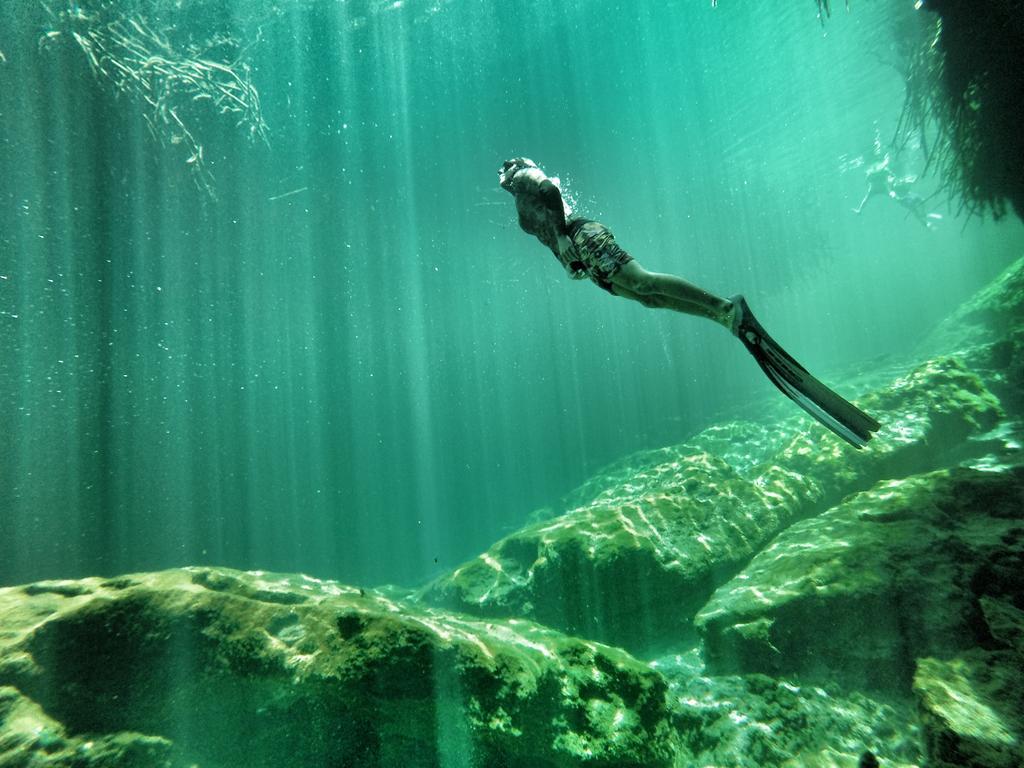 Lobo De Mar Albergue