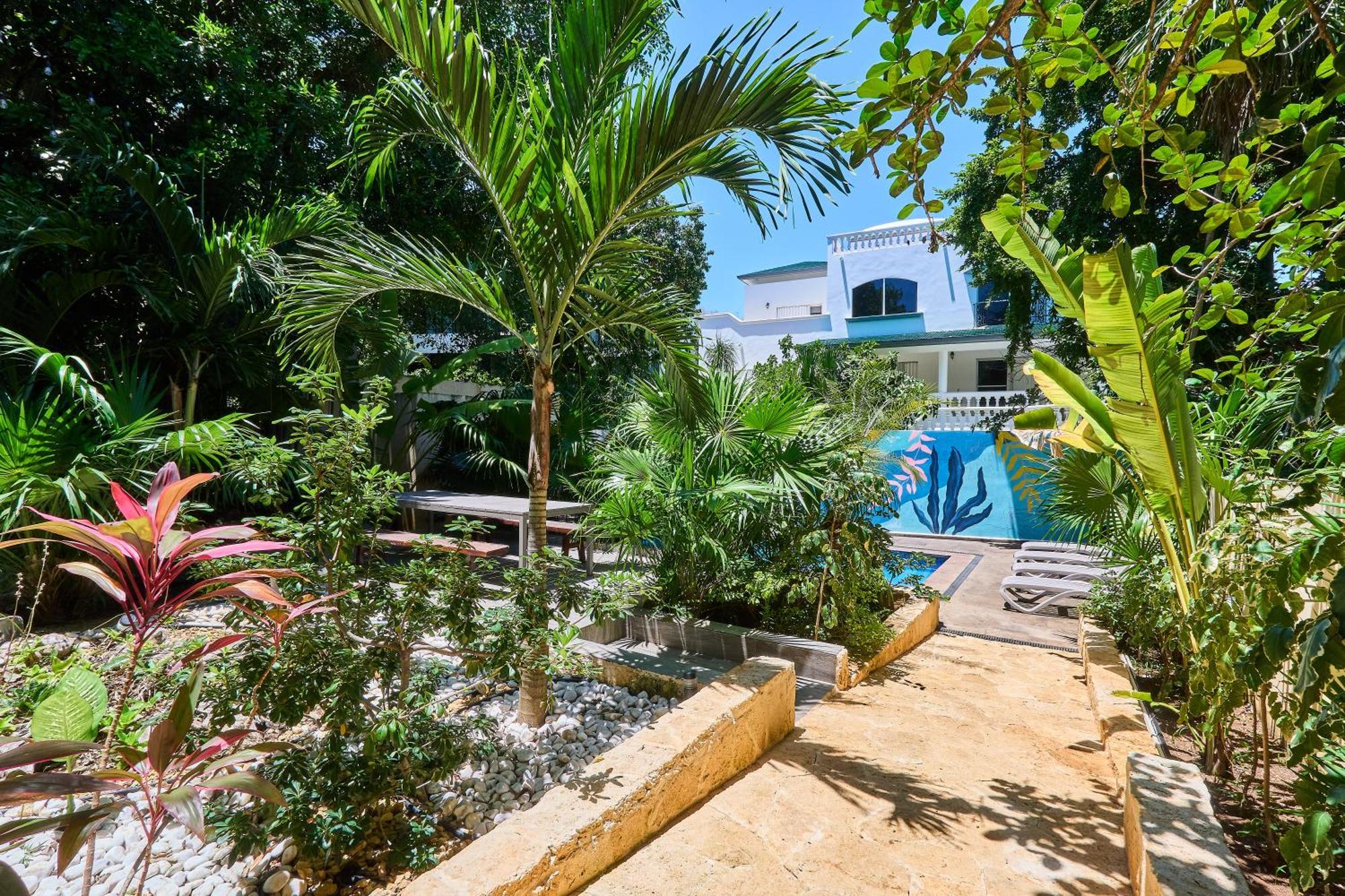 Stunning Mansion 6br With Artificial Cenote And Private Pool With Ocean View