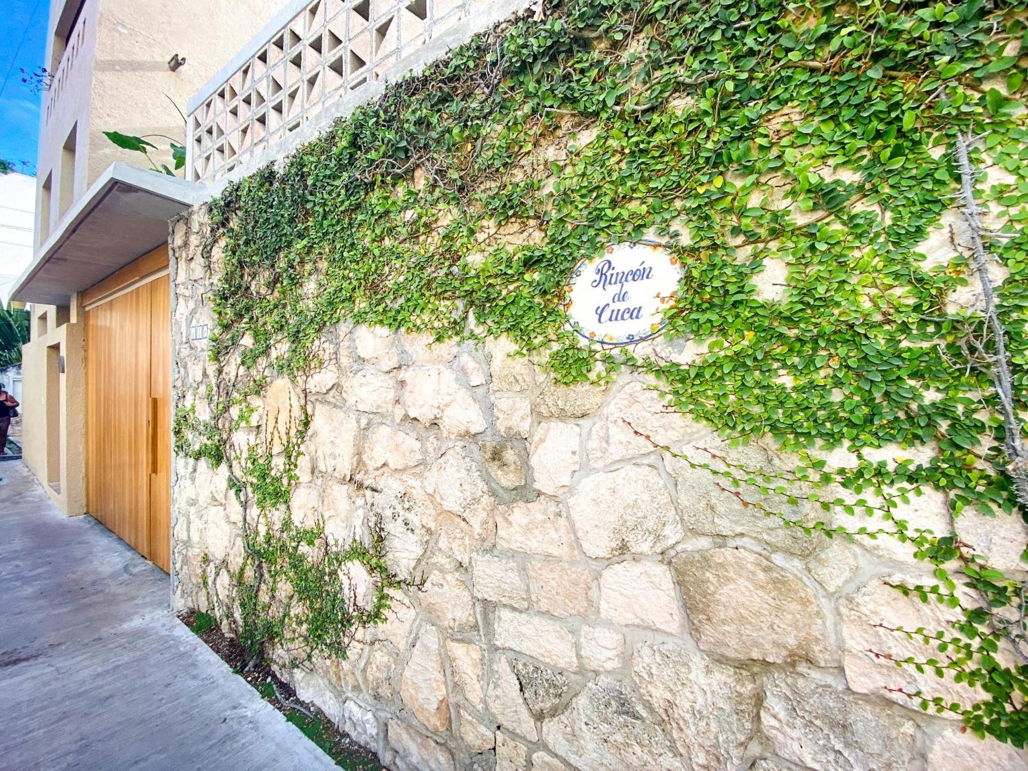Apartment 2br Close To The And 1 Block From 5th Av Playa del Carmen