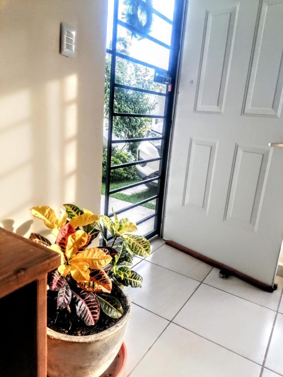 Appartement Sophie *