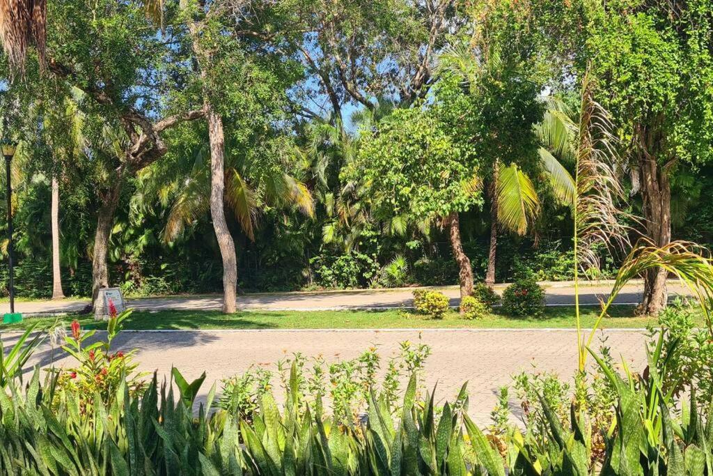 Playacar, 2 Recamaras Ph, Bamoa Residencial Playa del Carmen