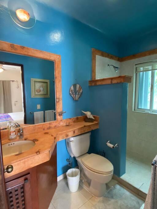 Penthouse 2bd 2ba With Private Rooftop And Jacuzzi Apartment *
