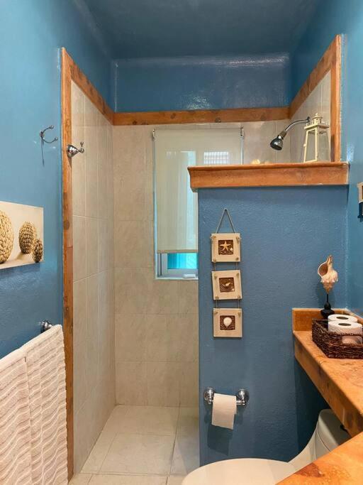 Penthouse 2bd 2ba With Private Rooftop And Jacuzzi Apartment