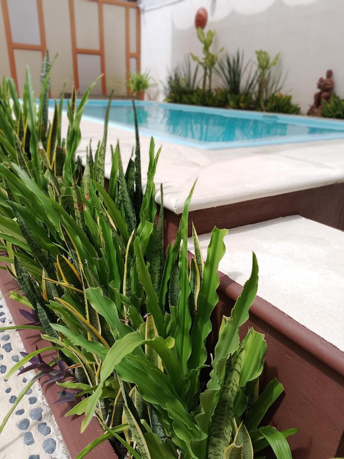 Hotel Casa Bkl *