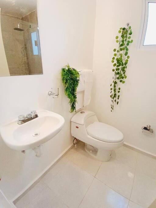 Appartement Mayakoba Serenity - 10min - Wifi - Pool *