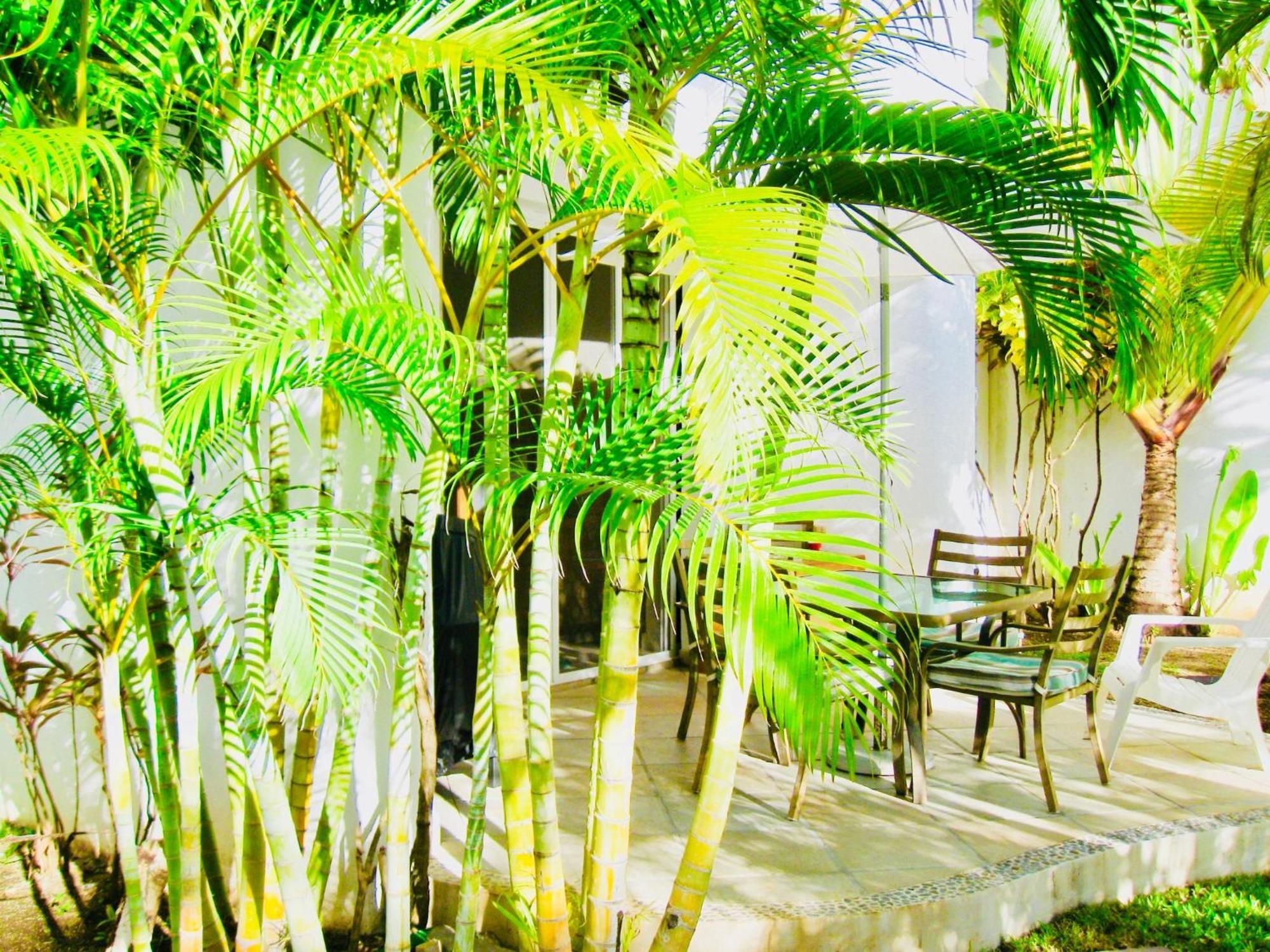 Deluxe Budget Balcony With Swimming Pool Air Conditioning And Parking Guest house