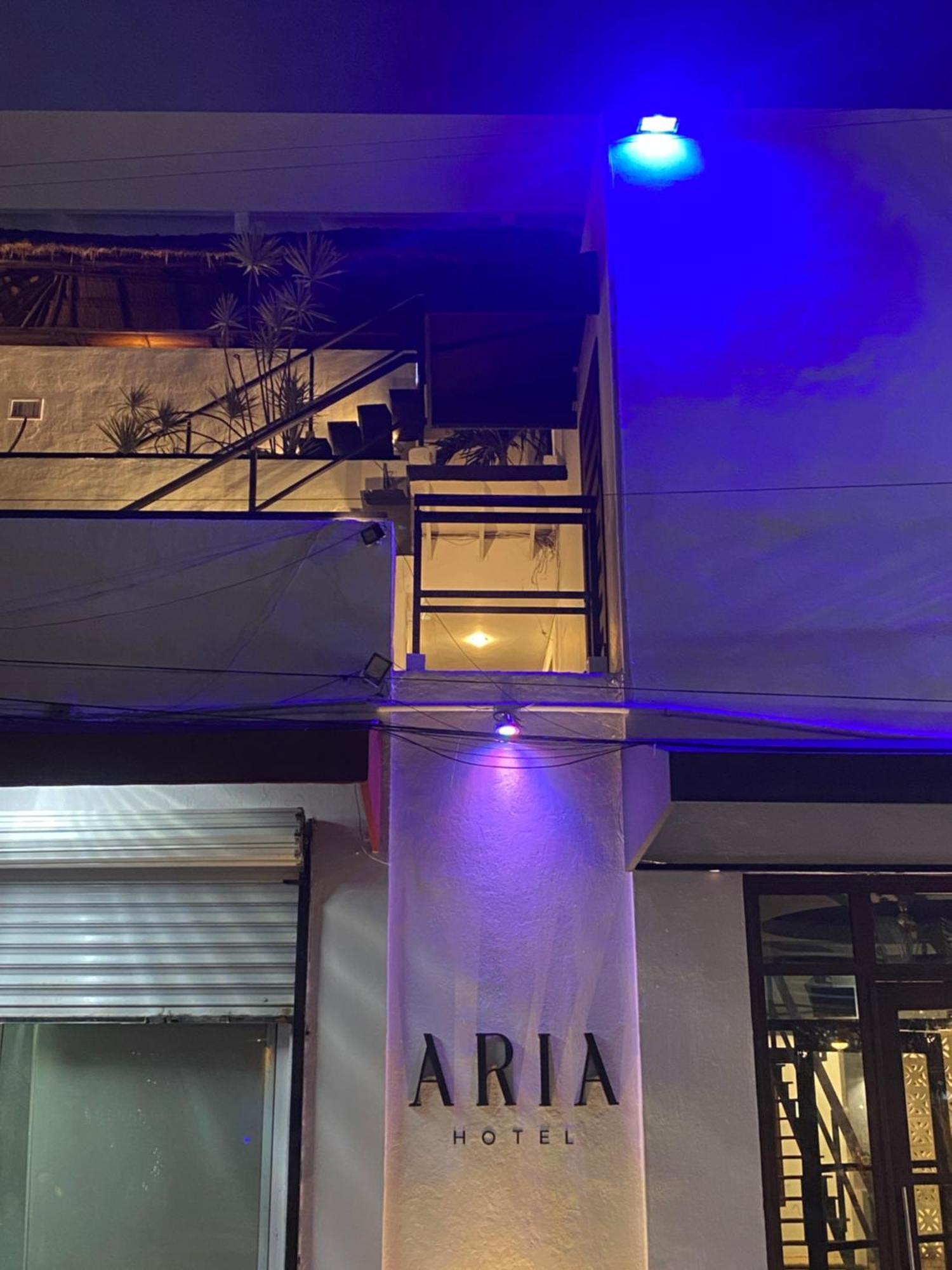 Hotel Aria Quinta Avenida & Rooftop *