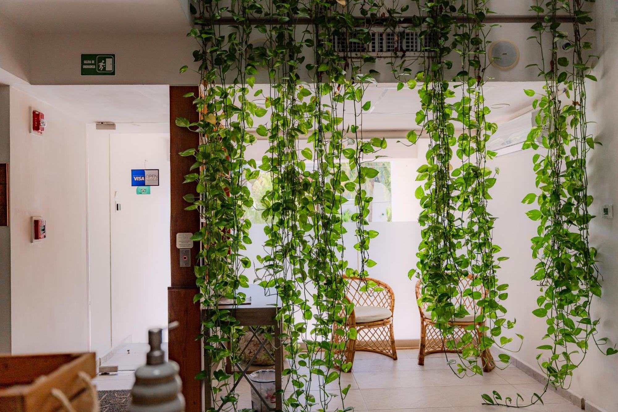 Apartment Newport House By Casago Playa del Carmen