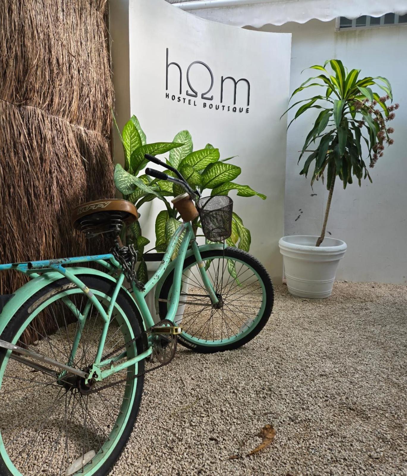 Albergue Hom Boutique *